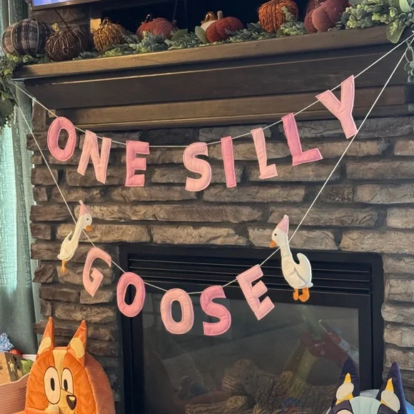 One Silly Goose Birthday Banner & Tablecloth Set - Picture 2 of 6